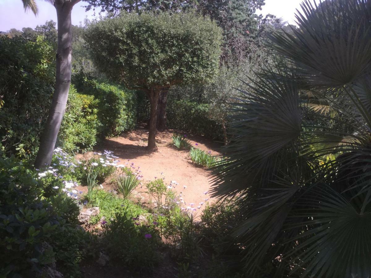 Villa Macoran 2 Etoiles سانت أي جولف المظهر الخارجي الصورة